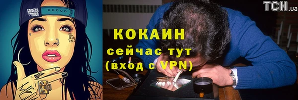 apvp Дмитриев
