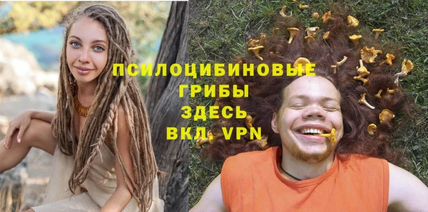 a pvp Дмитровск
