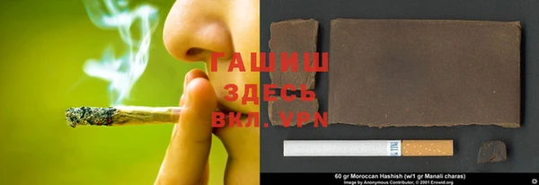 apvp Дмитриев
