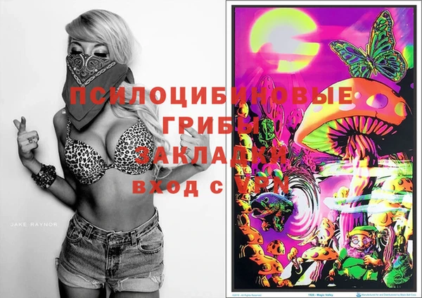 ПСИЛОЦИБИНОВЫЕ ГРИБЫ Дмитров