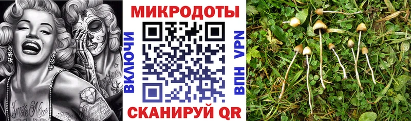 Купить где  Клин  Псилоцибиновые грибы мухоморы 